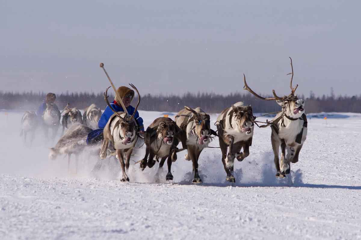 Россия скоро освоит арктический туризм