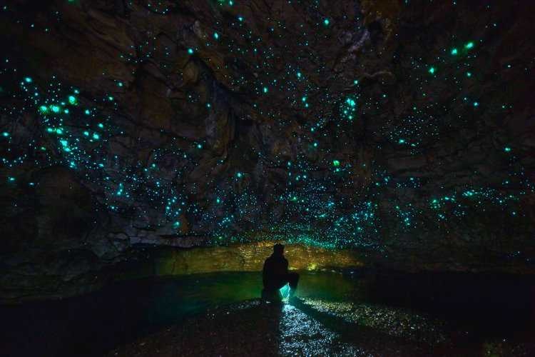 Пещеры Waitomo — звёздное небо под землёй