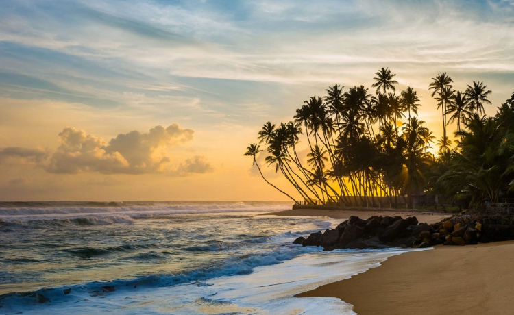 Курорты Шри-Ланки: куда лучше поехать